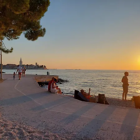 アパート App Olive Old Town