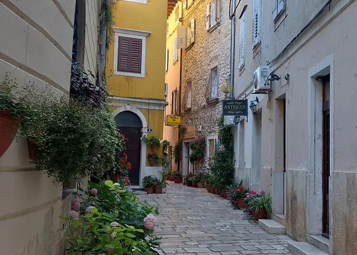 App Olive Old Town Appartamento